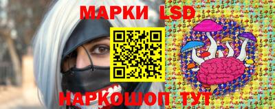 mdpv Камышлов