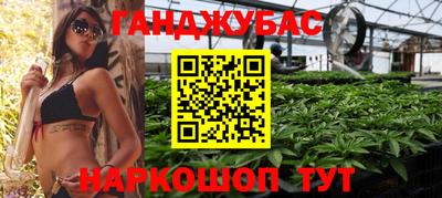 индика Кандалакша
