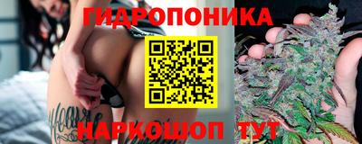 мдпв Канаш