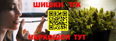 индика Кандалакша