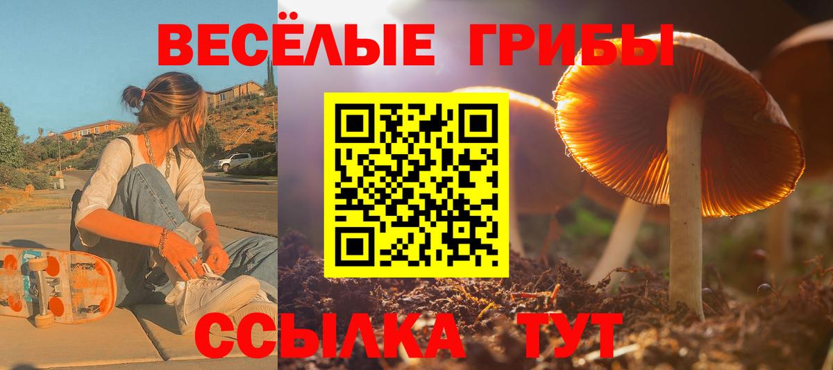 Псилоцибиновые грибы GOLDEN TEACHER  Вход с VPN  Верхняя Пышма  Псилоцибиновые грибы Psilocybe 
